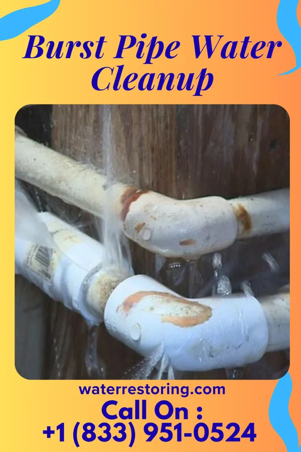 Burst Pipe Water Cleanup in Malta, OH