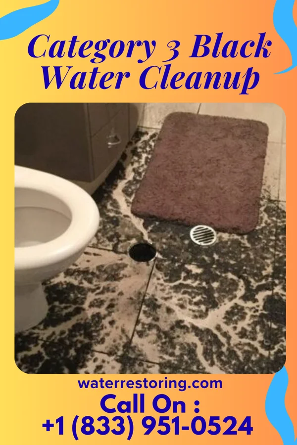 Category 3 Black Water Cleanup in Malta, OH