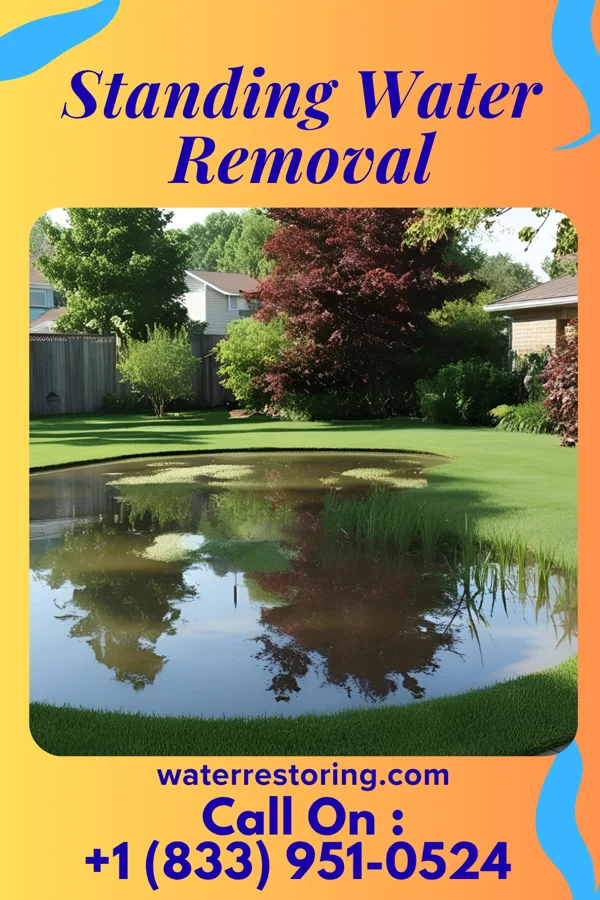 Standing Water Removal in Malta, OH